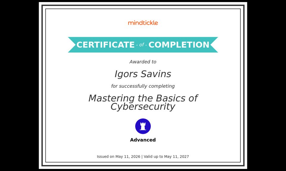 Mastering the Basics of Cybersecurity